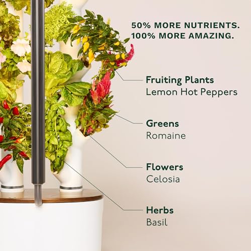Studio 2 Hydroponics Growing System