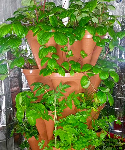 Vertical Gardening Planters (12 Count)