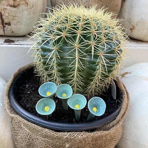 3 Pack Bee Watering Station (3 Count)