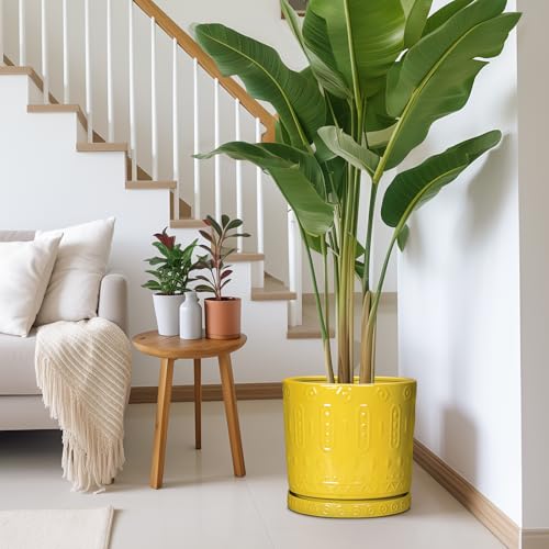 Ceramic Flower Pots (12 Inch / Yellow)