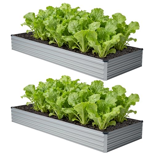 12x4x1 ft 2 Pack (2 Count)