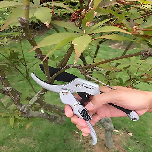 Pruners German Pruning shears (Black/Silver)