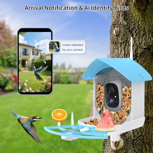 Bird Feeder with Camera